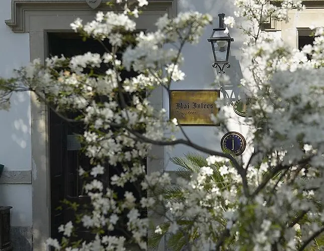 Dei Mai Intees Azzate